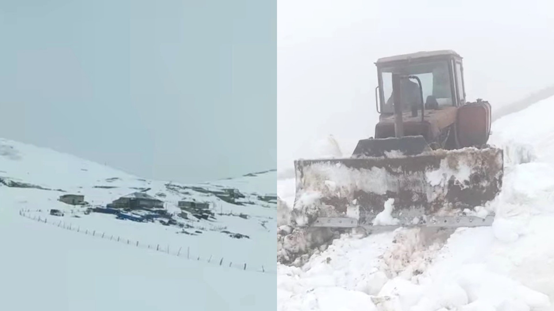 MyCollages - 2026-04-13T164213.325.jpg