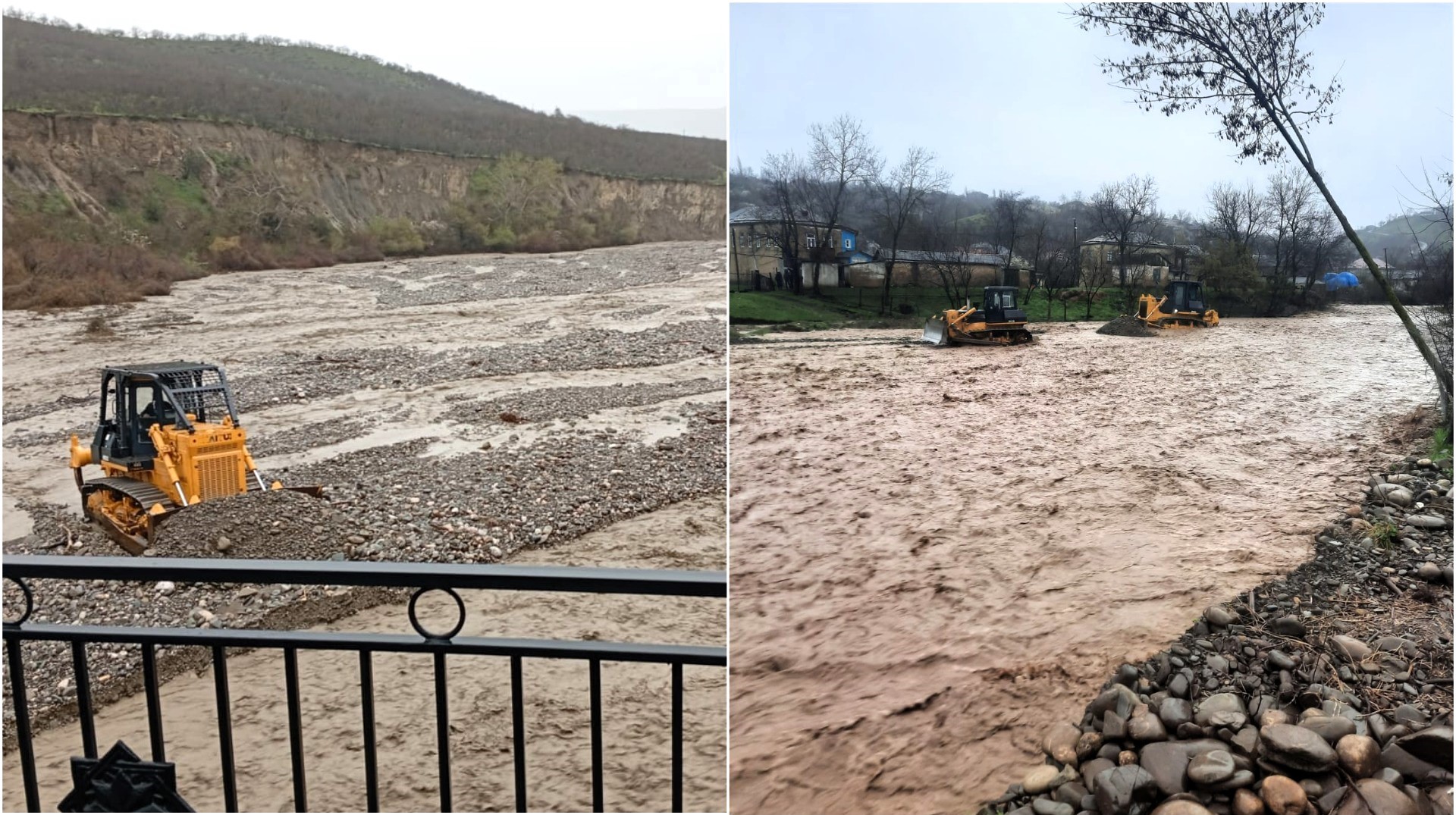 MyCollages - 2026-04-06T141419.337.jpg