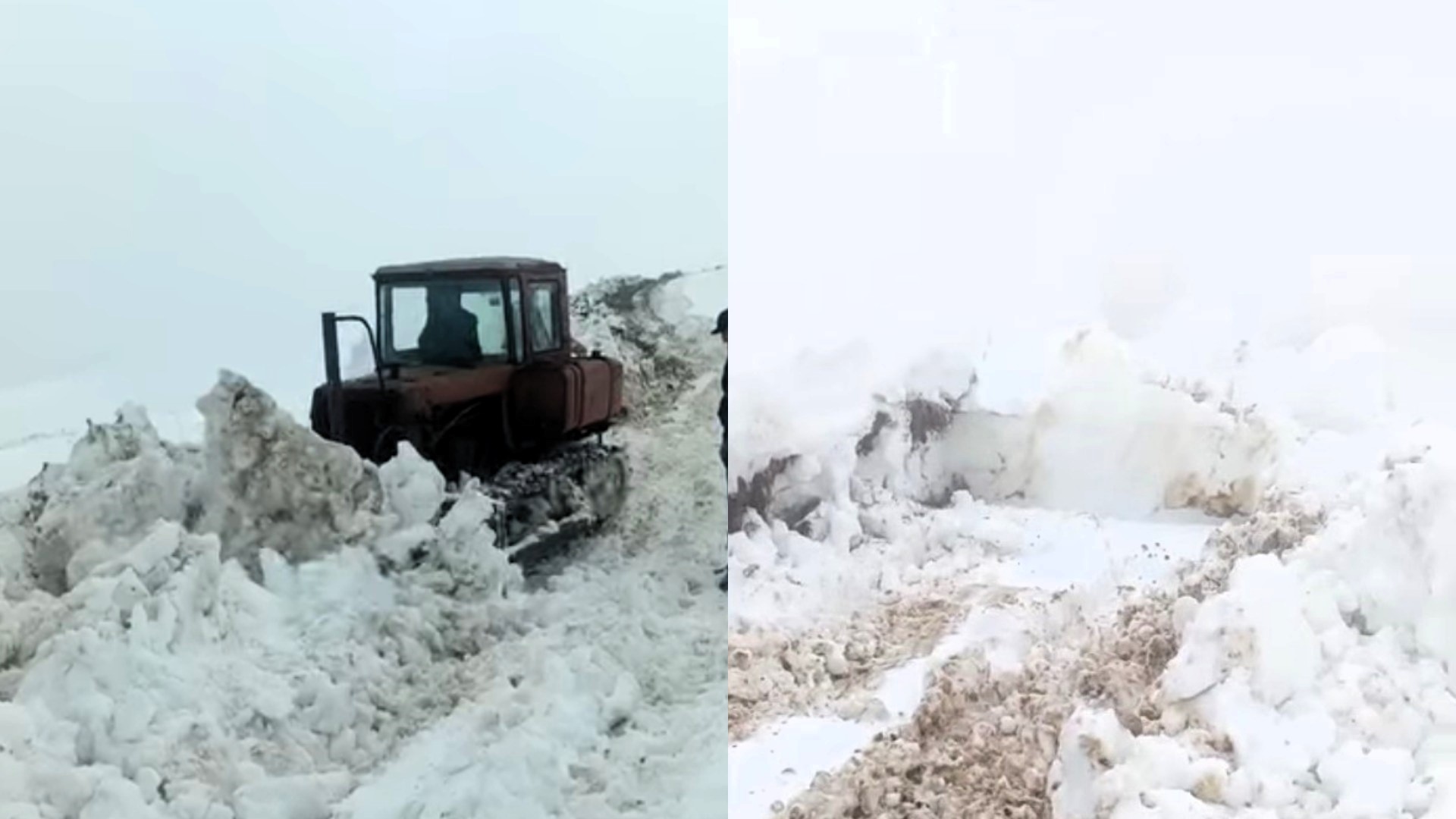 MyCollages - 2026-04-13T163321.989.jpg