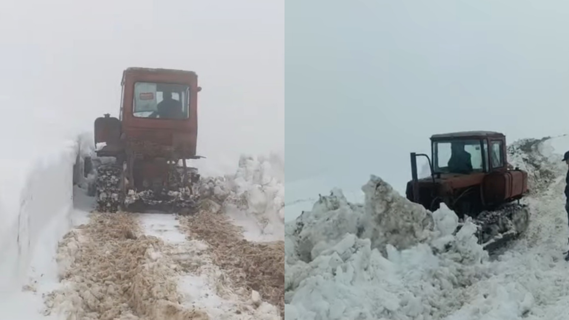 MyCollages - 2026-04-13T164532.674.jpg