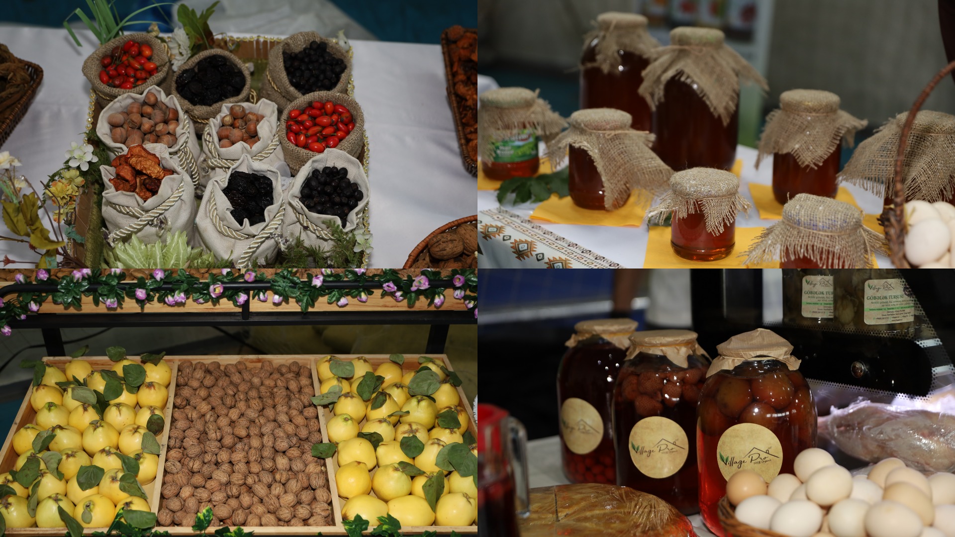 MyCollages - 2025-10-18T124448.666.jpg