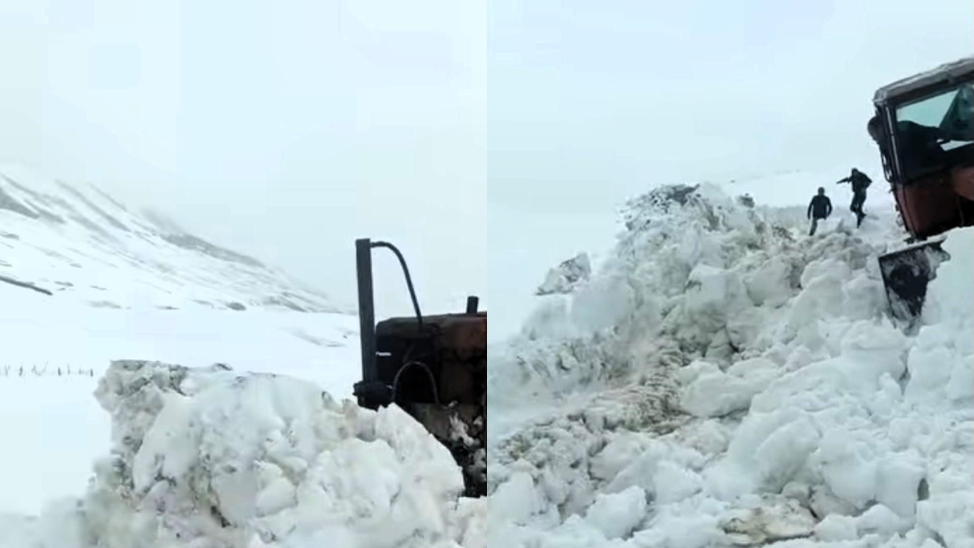 MyCollages - 2026-04-13T163551.448.jpg