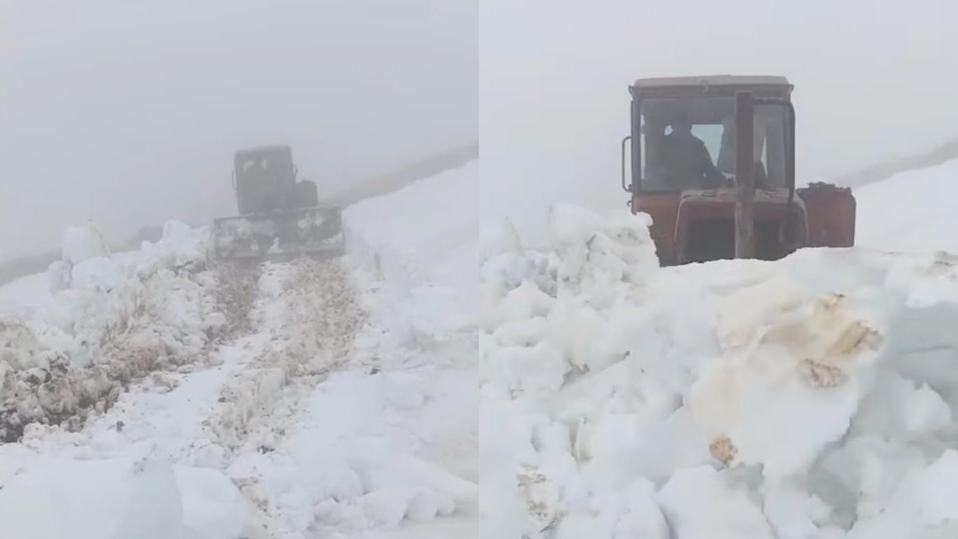 MyCollages - 2026-04-13T164736.001.jpg