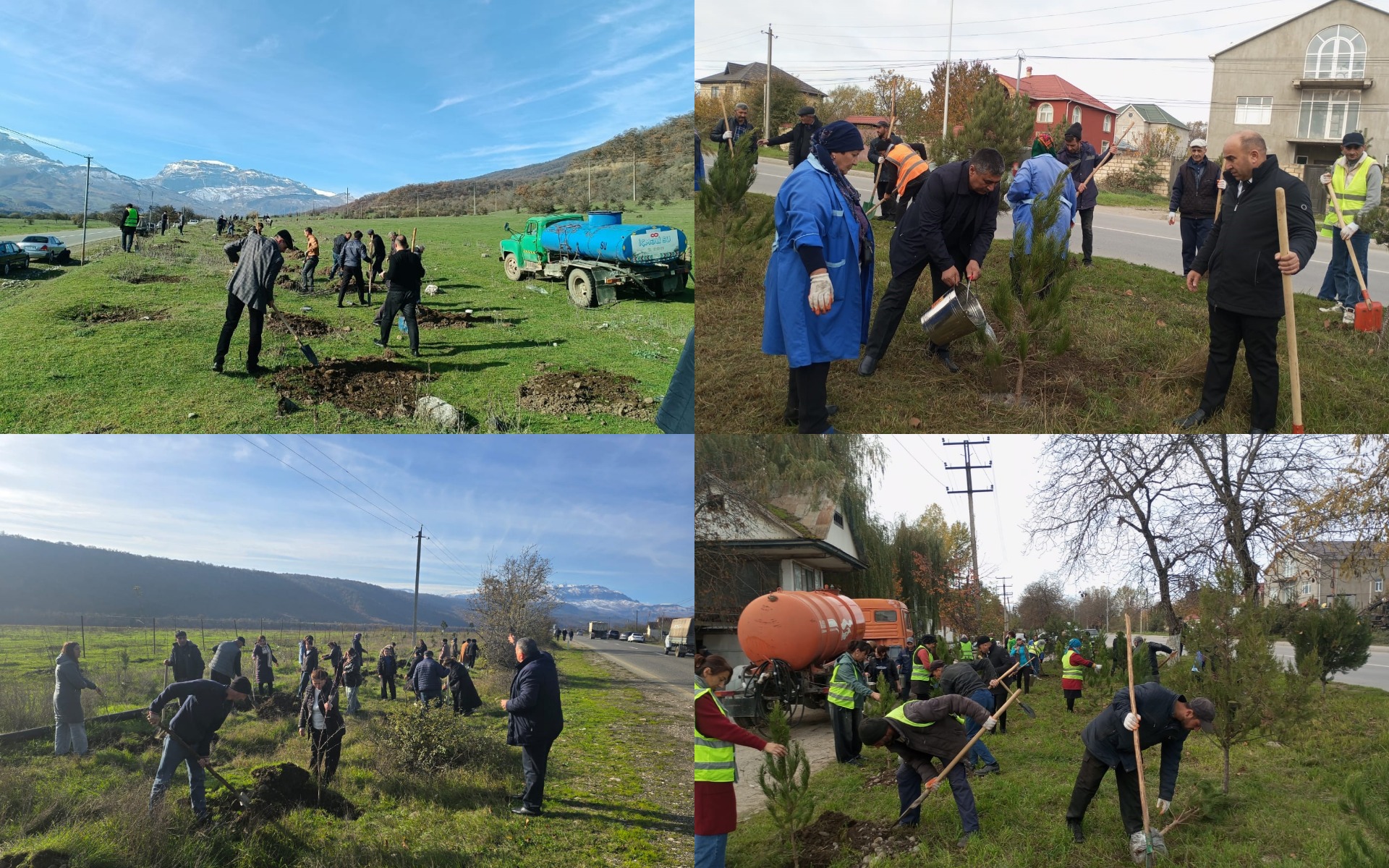 MyCollages - 2025-11-05T185304.313.jpg