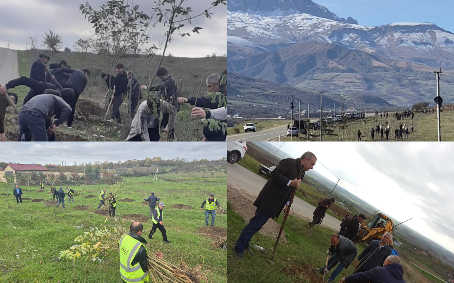 MyCollages - 2025-11-05T185926.596.jpg