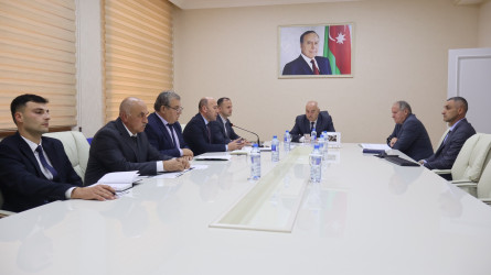 Qusar rayonunda qəhvəyi mərmər bağacığına qarşı mübarizə tədbirləri davam etdirilir