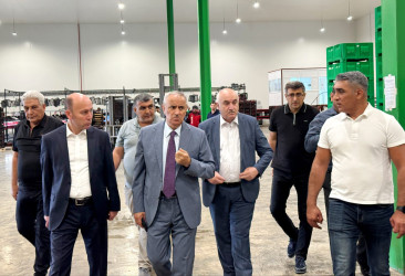 İcra başçısı “Yaşıl Bağlar” MMC-nin fəaliyyəti ilə tanış olub