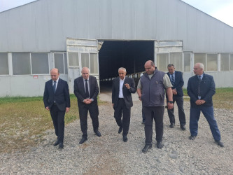 İcra başçısı yeni yol tikintisi və “Şahdağ” Fermer Təssərrüfatının fəaliyyəti ilə tanış olub