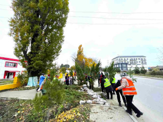 Qusar rayonunda “Gələcəyimiz üçün hərəmiz bir ağac əkək!” devizi altında ağacəkmə aksiyaları davam etdirilir