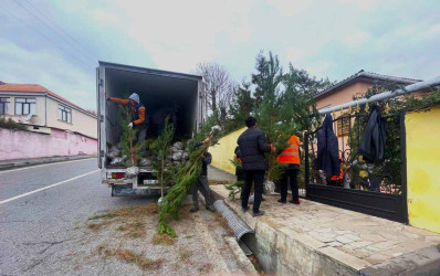 Qusar rayonunda “Gələcəyimiz üçün hərəmiz bir ağac əkək!” devizi altında ağacəkmə aksiyaları davam etdirilir