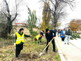 Qusar rayonunda “Gələcəyimiz üçün hərəmiz bir ağac əkək!” devizi altında ağacəkmə aksiyaları davam etdirilir