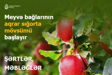 Aqrar Sığorta Fondu 2025-2026-cı illər əkin mövsümü üzrə meyvə bağlarının sığortalanma dövrünün başlandığını elan edir.