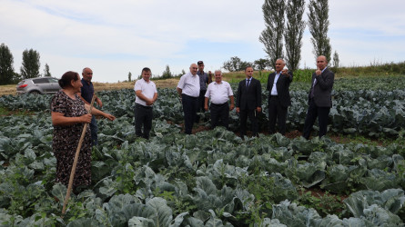 Qusar RİH başçısı kənd təsərrüfatı sahələrində aparılan işlərlə yerində tanış olub