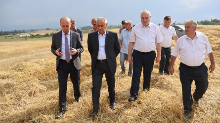Qusar RİH başçısı kənd təsərrüfatı sahələrində aparılan işlərlə yerində tanış olub