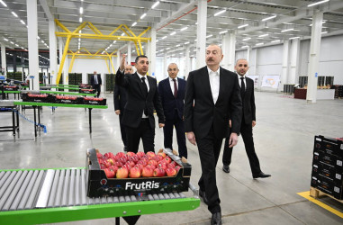 Prezident İlham Əliyev Qusar rayonunda bağçılıq və soyuducu anbar kompleksinin fəaliyyəti ilə tanış olub