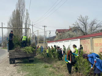 Qusarda növbəti ağacəkmə aksiyası keçirilib