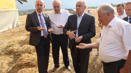 Qusar RİH başçısı kənd təsərrüfatı sahələrində aparılan işlərlə yerində tanış olub