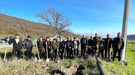 Qusar rayonunda genişmiqyaslı ağacəkmə aksiyası keçirilib