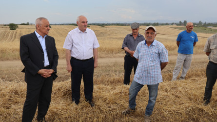 Qusar RİH başçısı kənd təsərrüfatı sahələrində aparılan işlərlə yerində tanış olub
