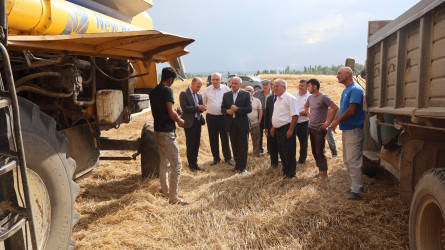Qusar RİH başçısı kənd təsərrüfatı sahələrində aparılan işlərlə yerində tanış olub