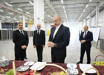 Prezident İlham Əliyev Qusar rayonunda bağçılıq və soyuducu anbar kompleksinin fəaliyyəti ilə tanış olub