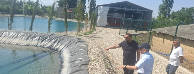İcra başçısı Arçan və Əlix kəndlərində sakinlərlə görüşüb